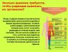 Слайд13.JPG