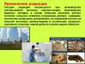 Слайд16.JPG