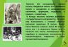 Слайд7.JPG